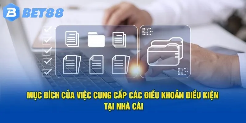 Giới thiệu chính sách điều khoản sử dụng dịch vụ cá cược